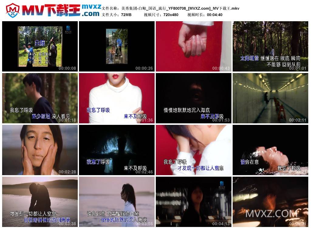 美秀集团-白鲸_国语_流行_YF800708